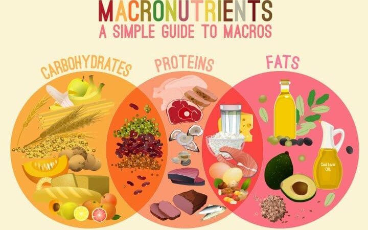 Alimentos sin hidratos de carbono: Descubre cuánto puedes consumir de este nutriente para una dieta mínima.
