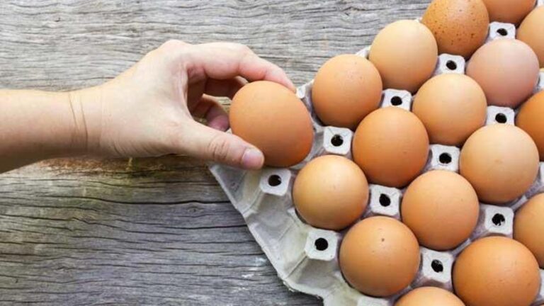 ¡Cuidado con el huevo caducado! Todo lo que necesitas saber.