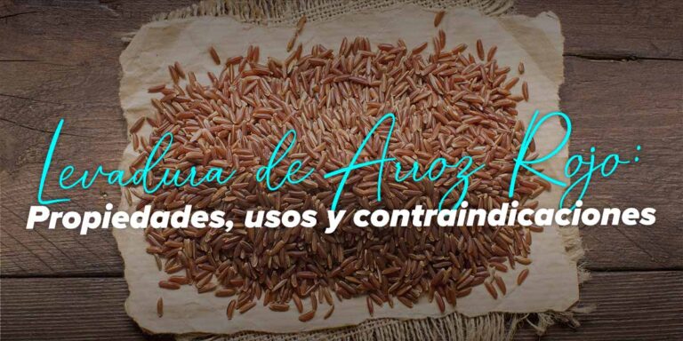 Contraindicaciones de la levadura de arroz rojo que debes conocer – ¡Cuidado!