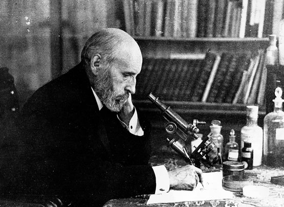 Descubre el fascinante mundo de Metro Ramón y Cajal