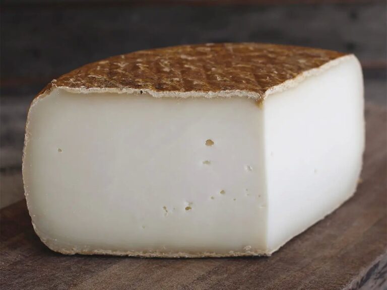 Descubre los deliciosos quesos sin lactosa