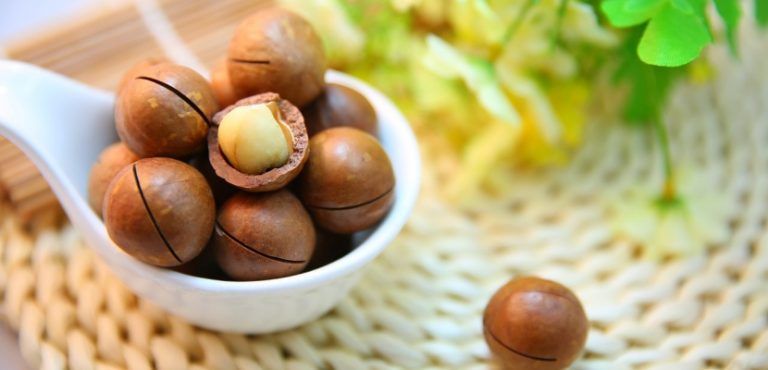 Descubre los increíbles beneficios de las nueces de macadamia