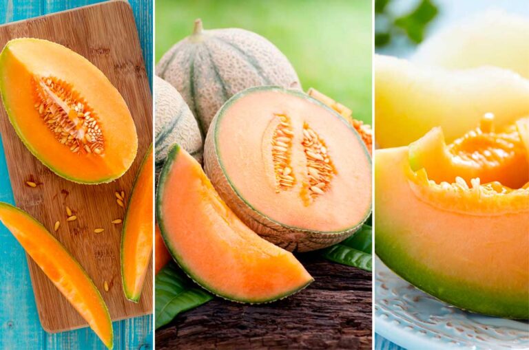Descubre los increíbles beneficios de las pipas de melón para tu salud