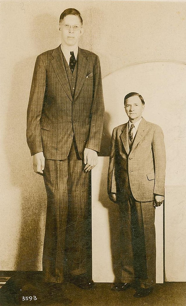 El gigante humano: la historia de la persona más alta del mundo.