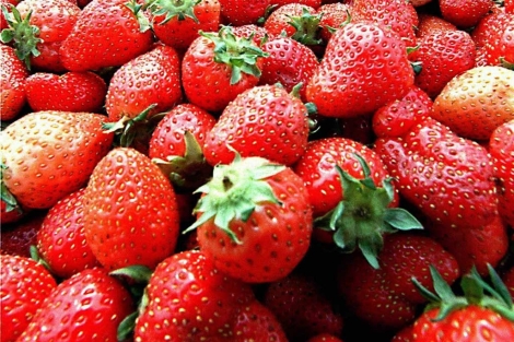 Fresas: un aliado natural para tu salud estomacal