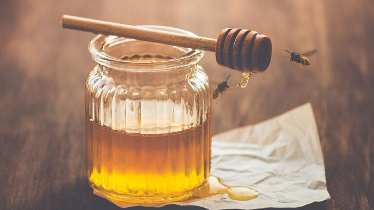 Los sorprendentes beneficios de tomar miel en ayunas